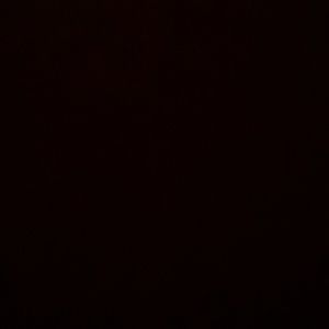 Meet your Posher, Antonio